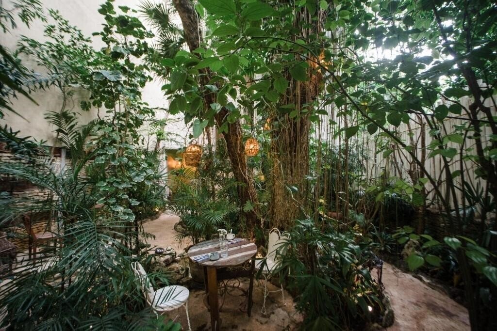 Картинка Hotel La Semilla 3*