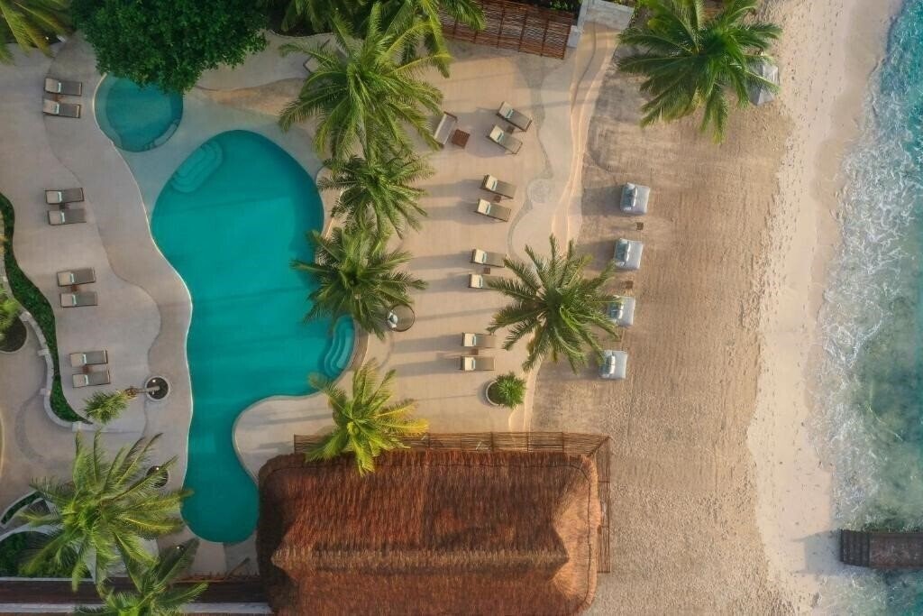 Фотография Viceroy Riviera Maya 5*