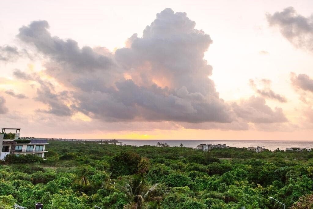 Картинка 52 Playa Del Carmen 4*
