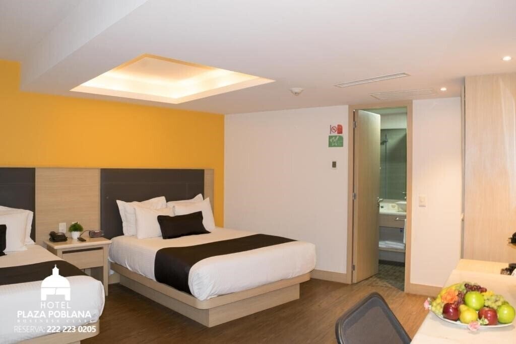 Фото Plaza Poblana 3*