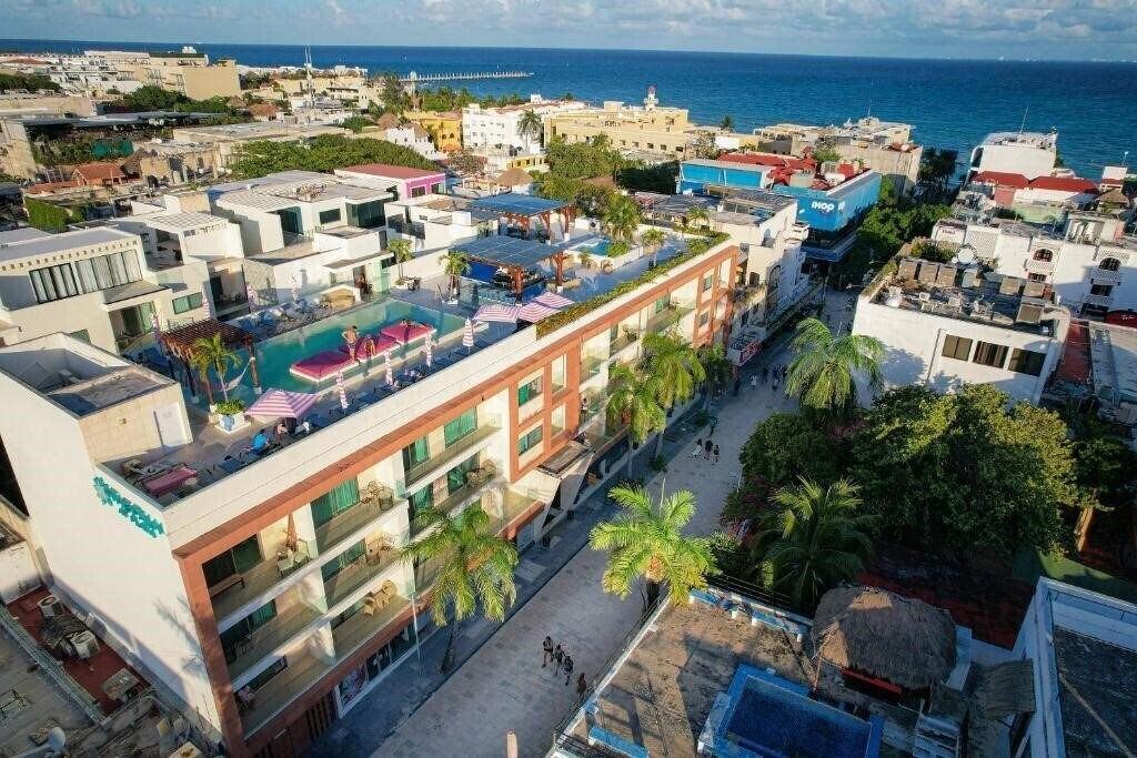 Фото The Palm At Playa 4*