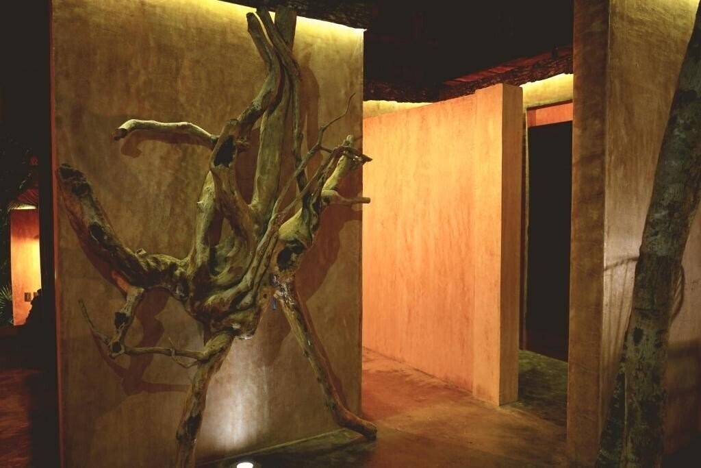 Картинка Bufo Alvarius 2*