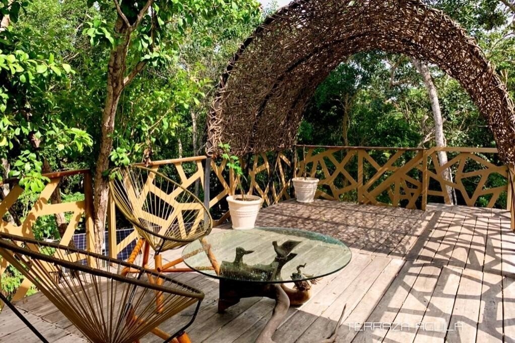 Фото Bufo Alvarius 2*