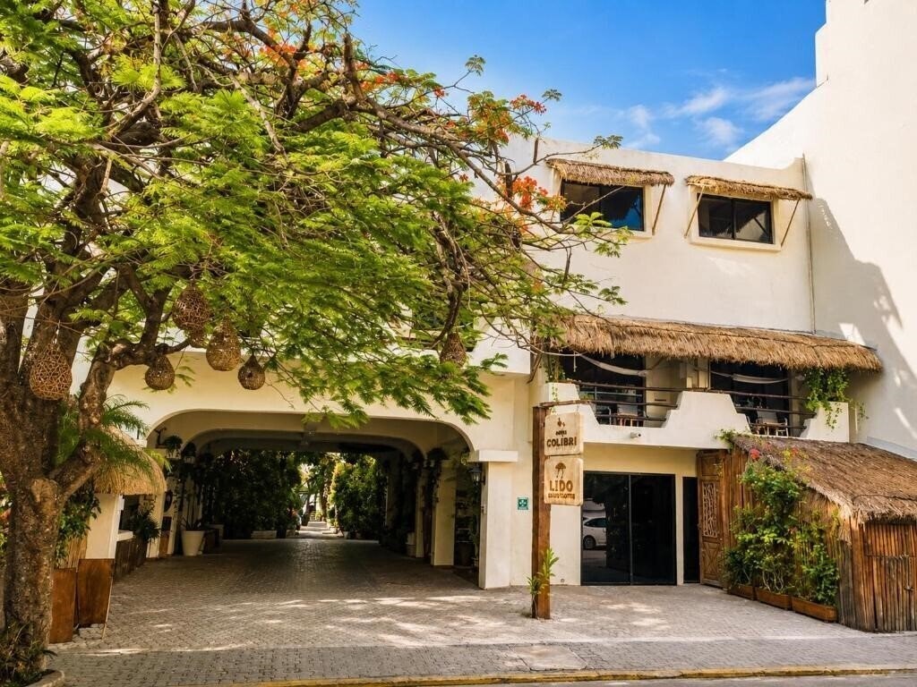 Зображення Colibri Beach 3*