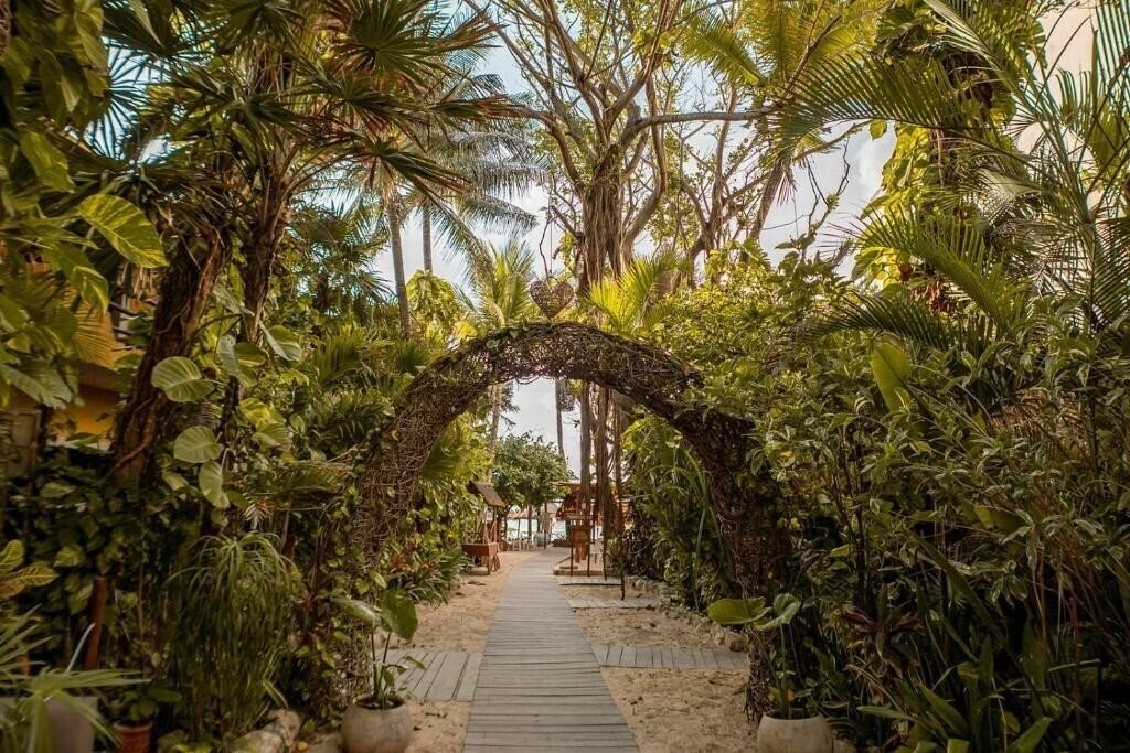Картинка Colibri Beach 3*
