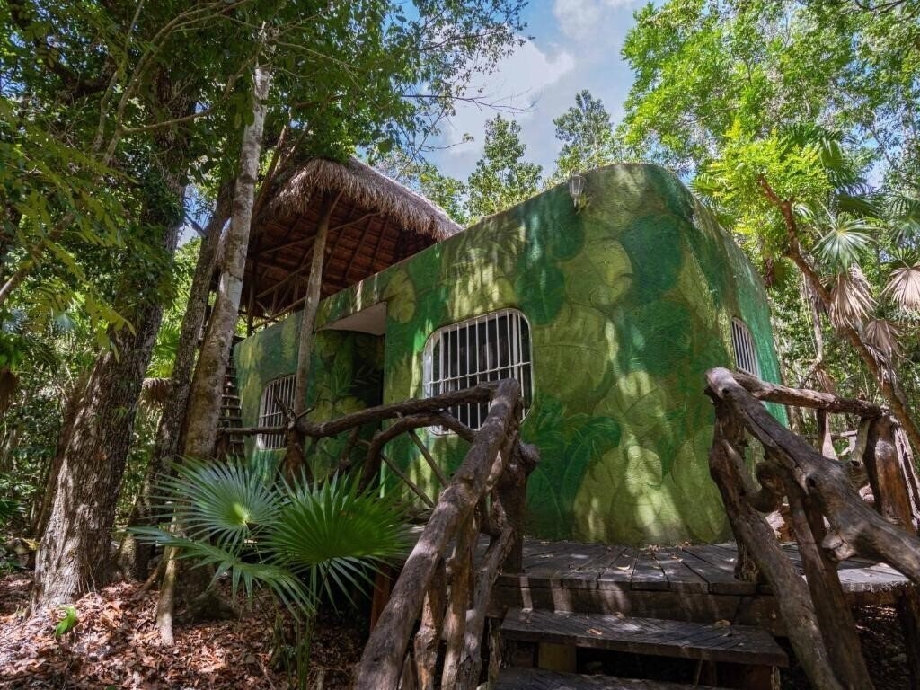 Фотография Jolie Jungle 3*