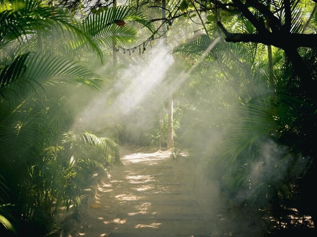Отель Nomade Tulum 4*
