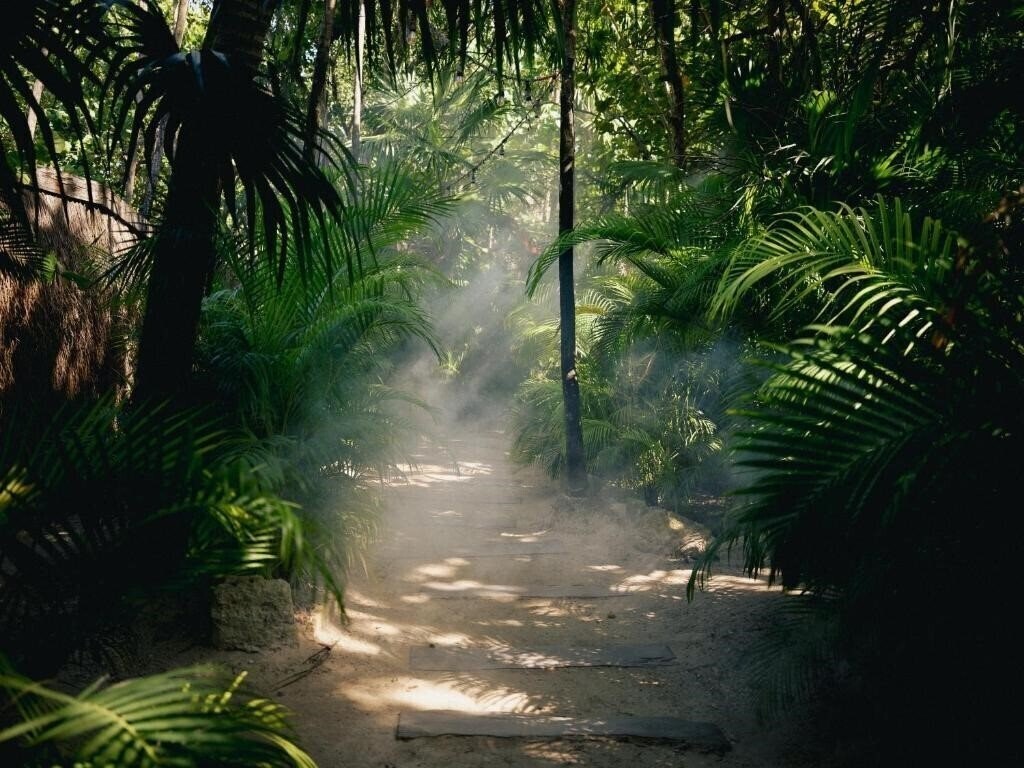 Фотография Nomade Tulum 4*