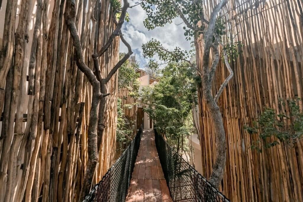 Картинка Taio Tulum 5*