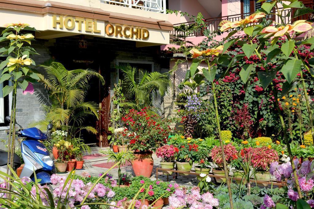 Картинка Hotel Orchid 3*