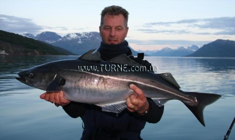 Изображение Sorheim Brygge 4*