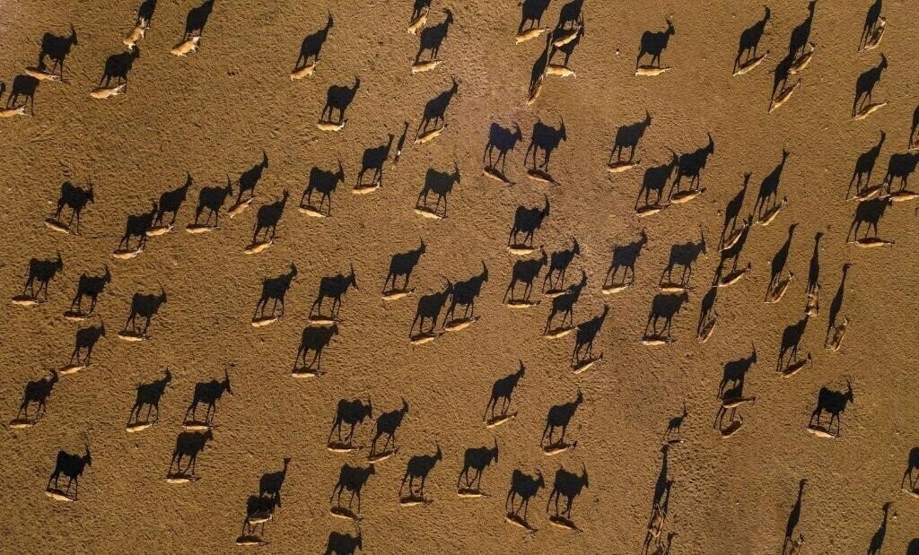 Картинка Anantara Desert Islands Resort & SPA 5*