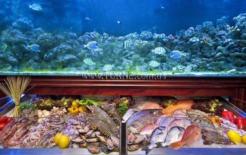 Фото Swiss Hotel Corniche (ex. Swiss Bel, Royal International) 4*