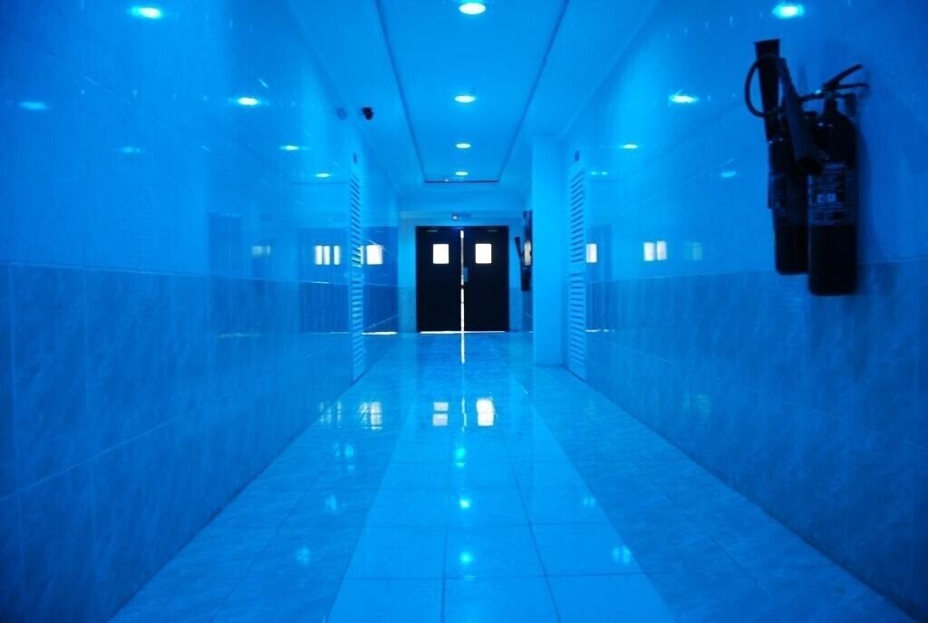 Фотография The Paradise Inn + 2*