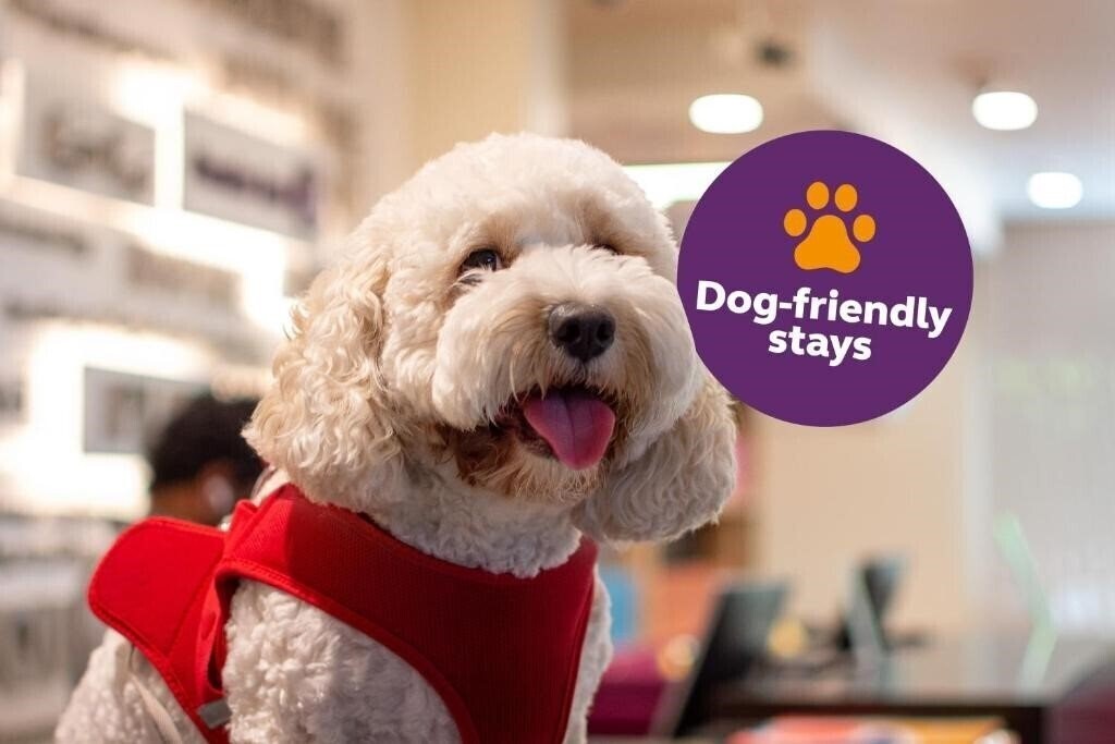 Изображение Premier Inn Dubai Al Jaddaf 3*