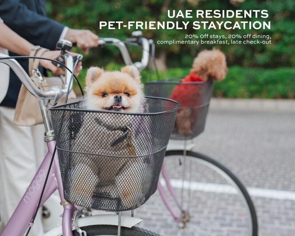 Фото Vida Downtown Dubai 4*