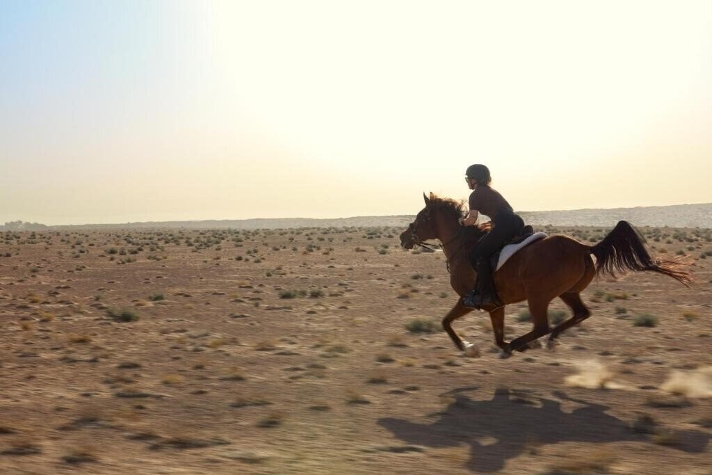 Картинка AL Maha Desert Resort & SPA 5*