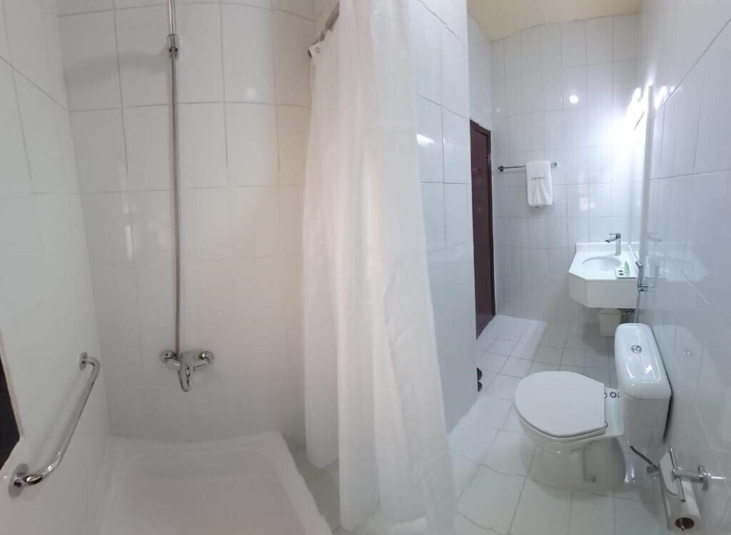 Фото Dana Hotel 1*