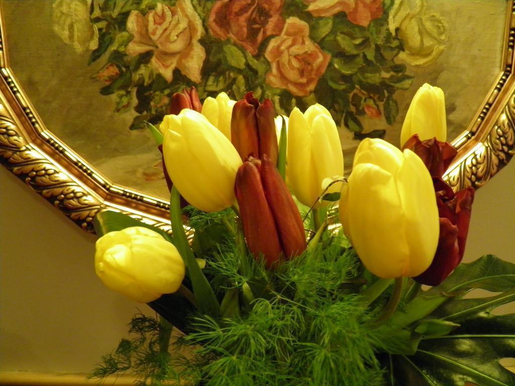 Изображение Hotel Rezydencja 3*