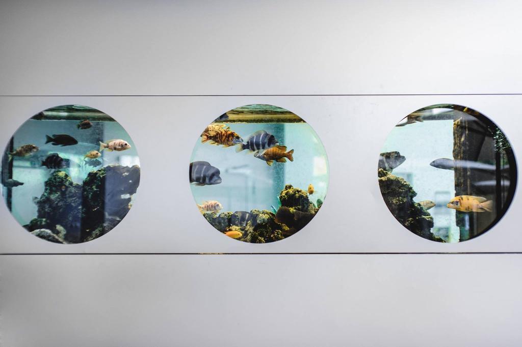 Зображення Interhouse Hotel 3*