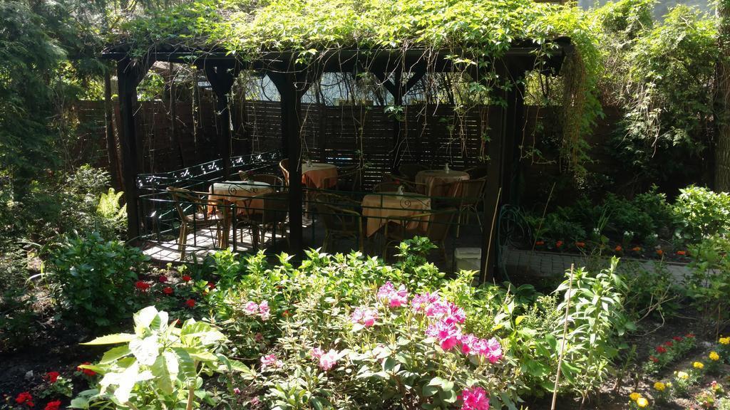 Зображення Monika 2*