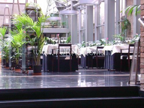 Фотографія Monopol 3*