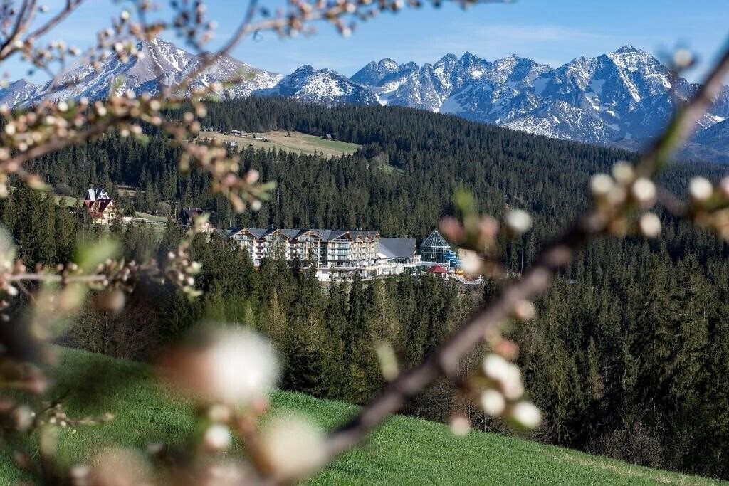 Отель Bukovina Hotel 4*