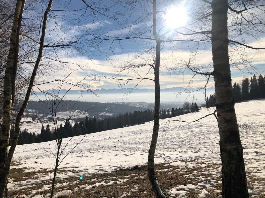 Картинка U Guta 1*
