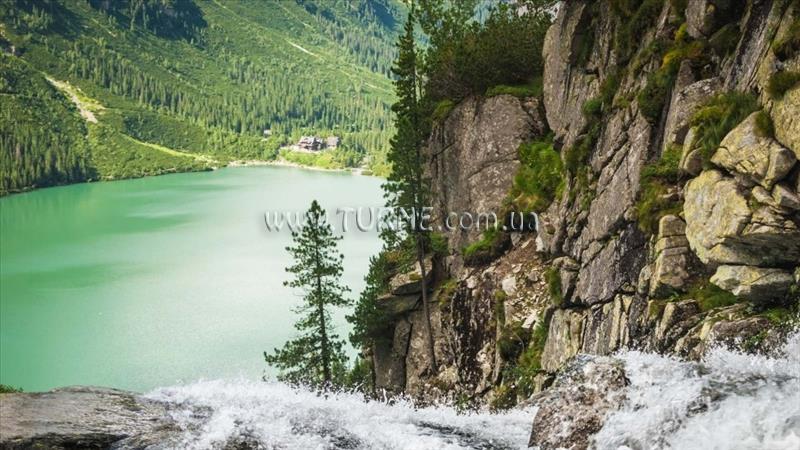 Фото Zosienka пансионат