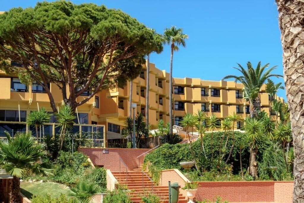 Картинка Auramar 3*
