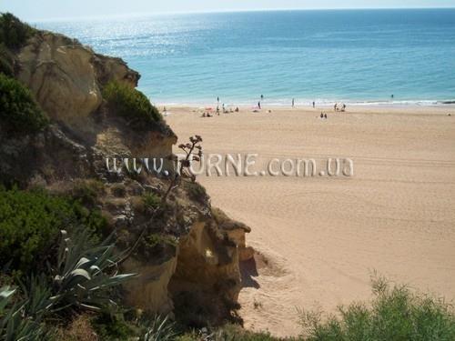 Изображение Alisios 4*