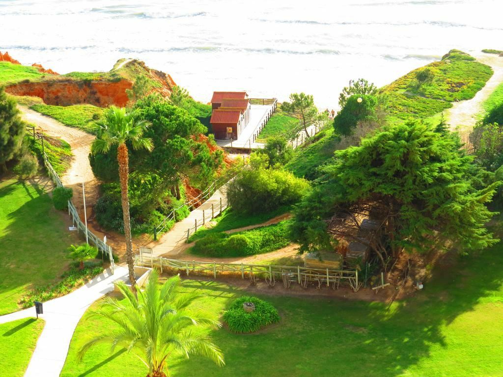 Фото Alfa Mar Beach & Sport Resort 4*