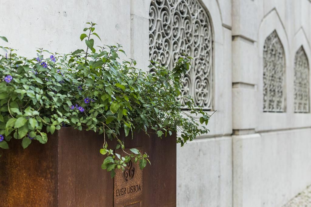 Зображення Ever Lisboa City Center Hotel 3*