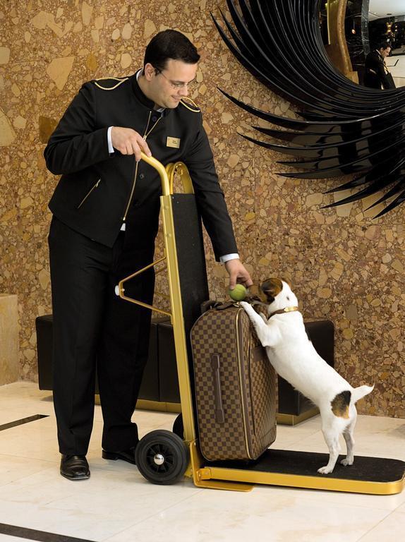 Фотографія Altis Avenida 5*