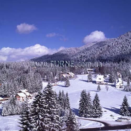 Фотографія Wolf 4*