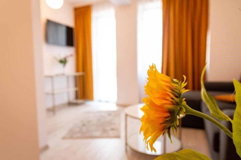 Картинка Cantemir 3*