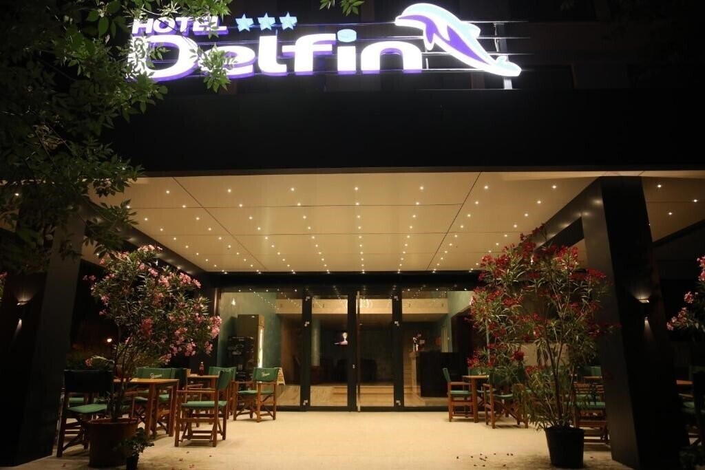 Отель Hotel Delfinul 3*