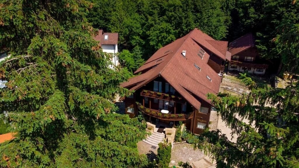 Готель Villa Zorile вилла