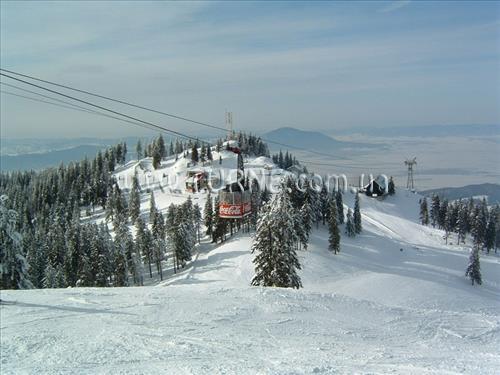 Зображення Daria Pension 4*