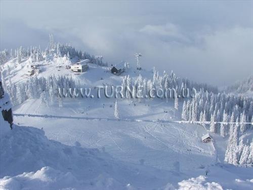 Фотографія Daria Pension 4*