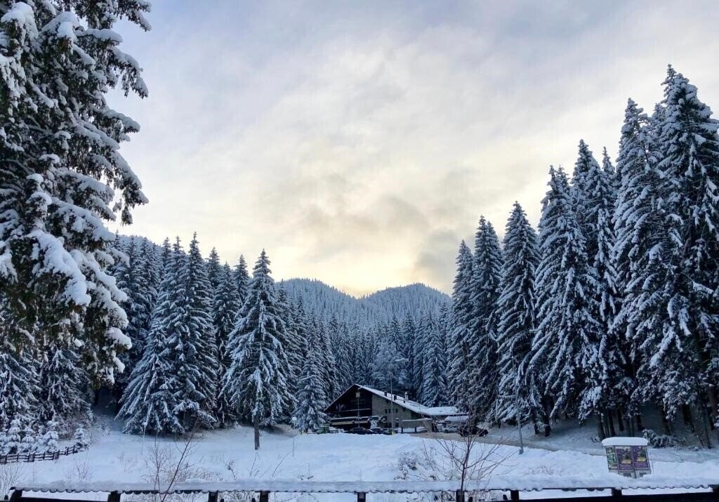 Фото Boutique Hotel Casa Emil 4*