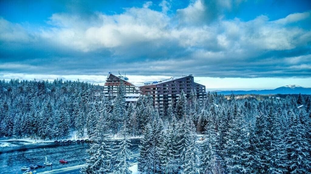 Отель Alpin Resort Hotel 4*