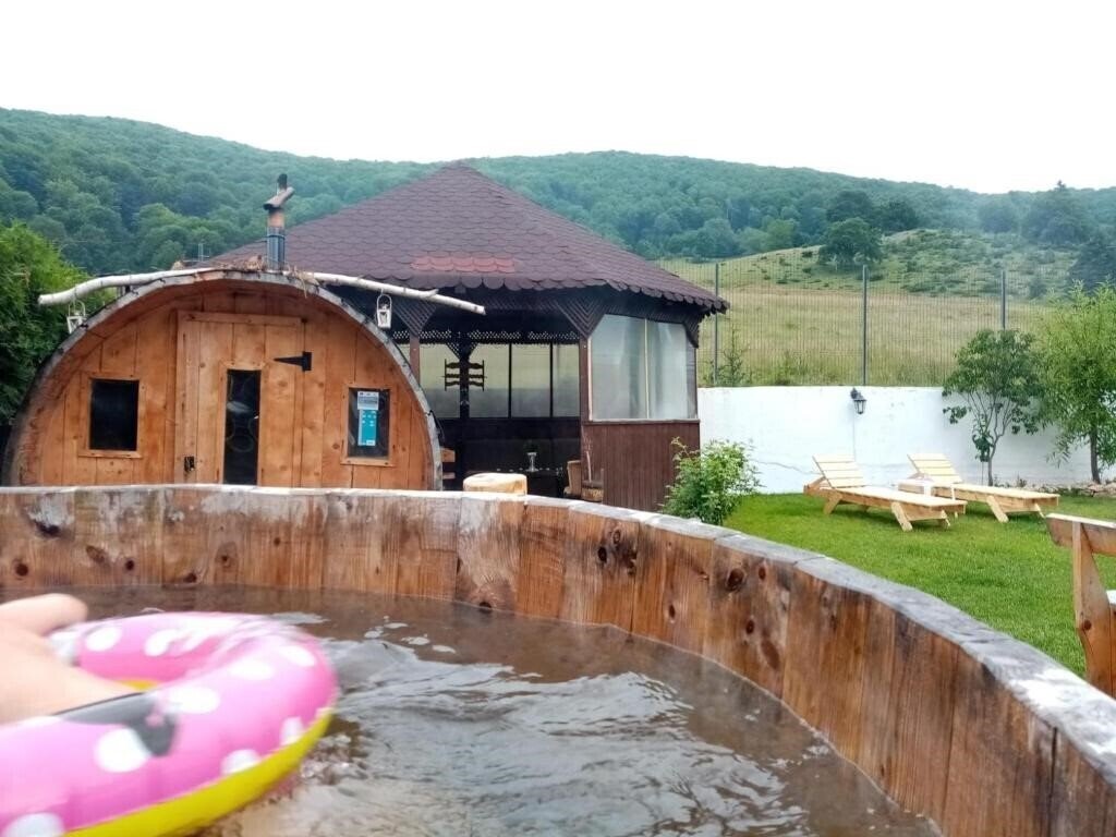 Фотография Pensiunea Poiana Cristian 2*