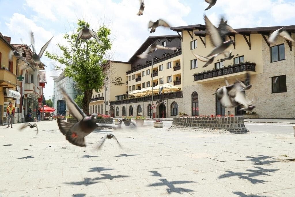 Фото Hotel Carmen 4*