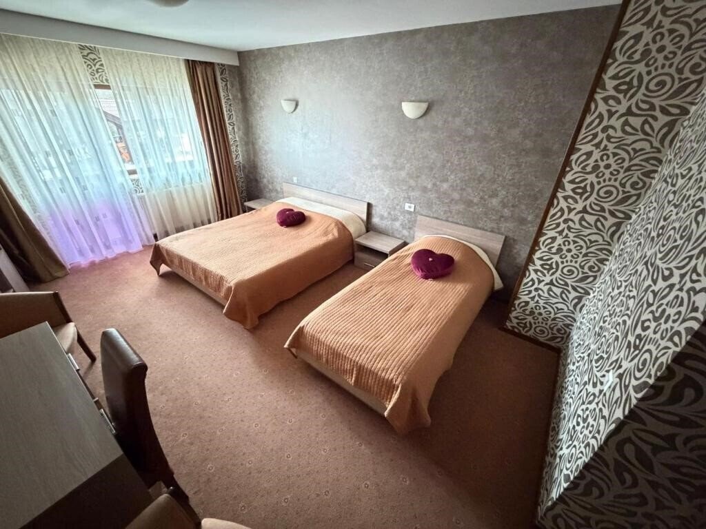 Картинка Pensiunea Ideal 4*