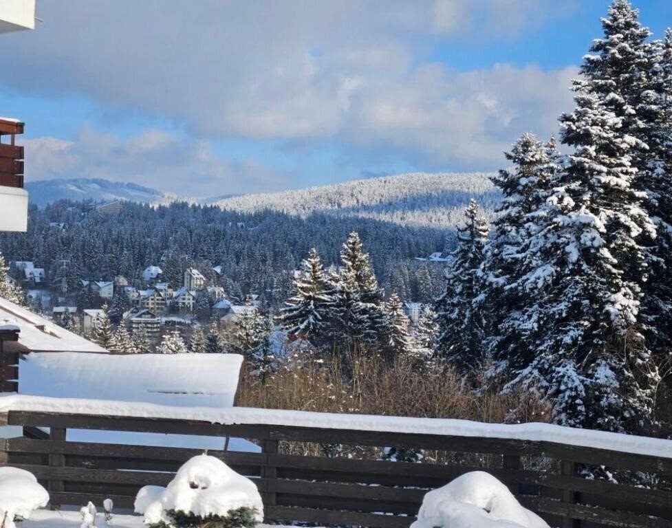 Фотография Pensiunea Ideal (ex. Ideal Predeal, Ideal Guesthouse) 4*