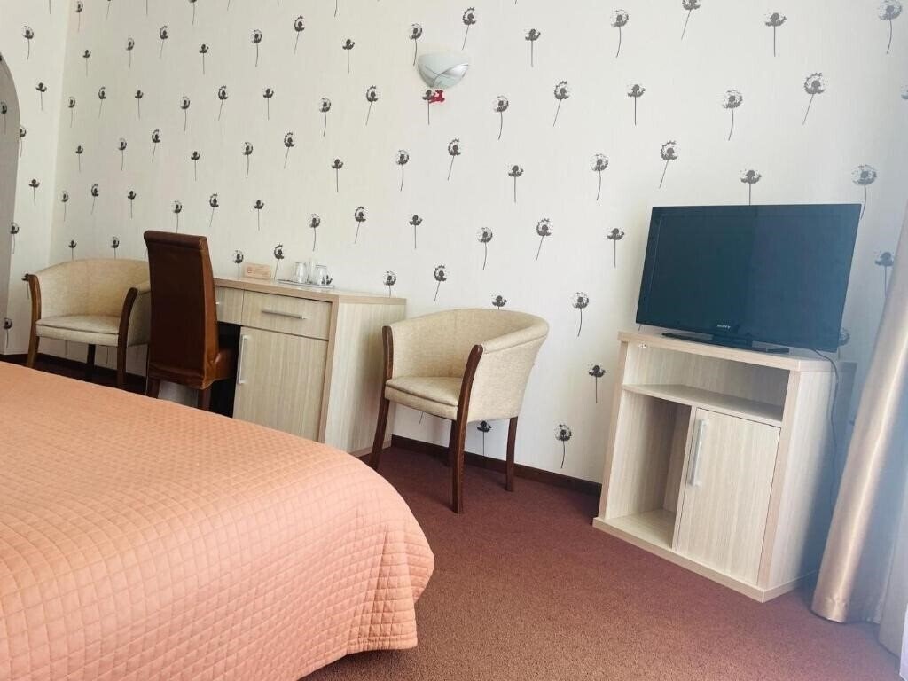 Фотография Pensiunea Ideal 4*