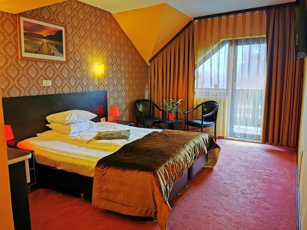 Зображення Pensiunea Carpatic Predeal 3*