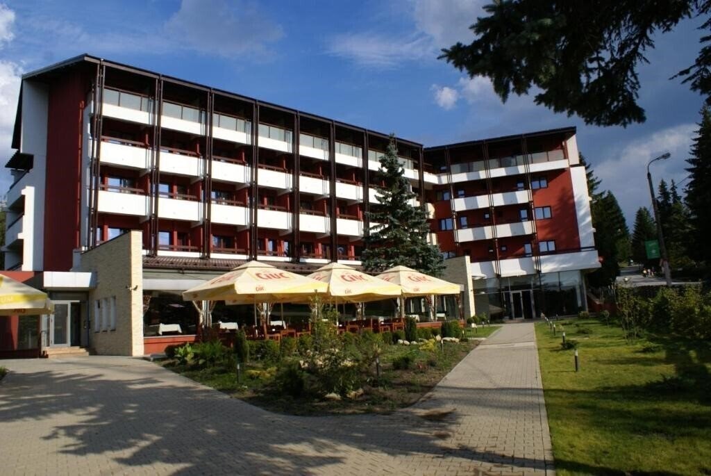Отель Hotel Carpati 3*