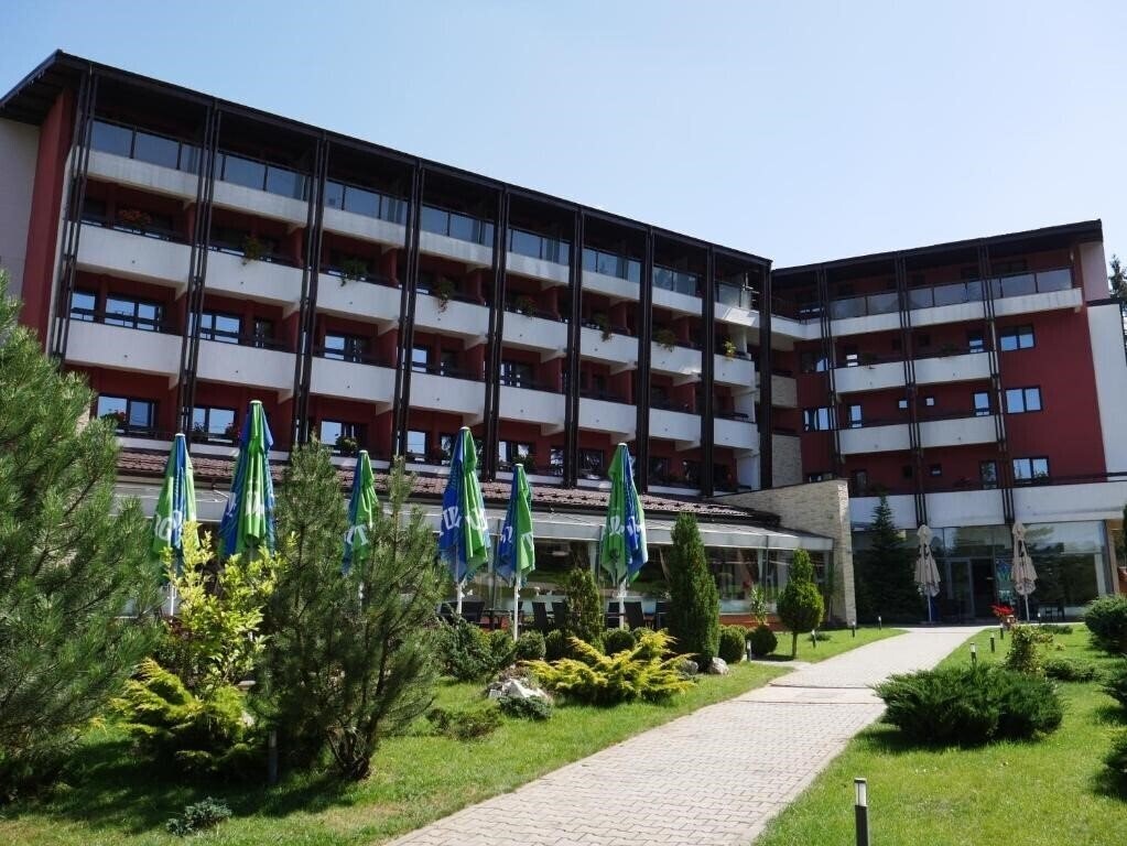 Отель Hotel Carpati 3*